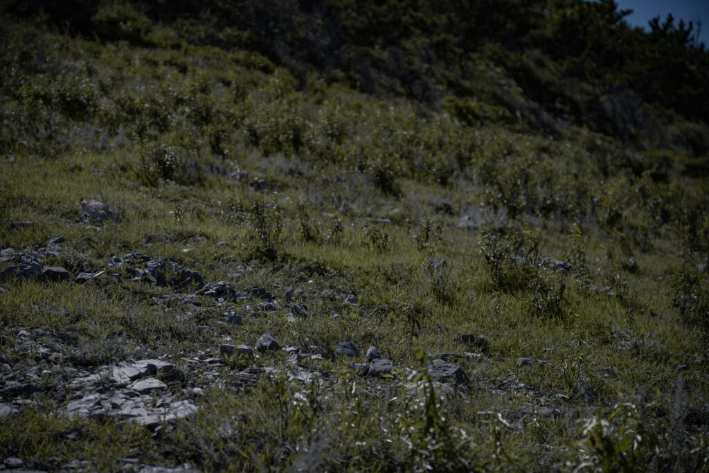 Personagens do jogo Wild Bandito com os rolos do slot em fundo temático mexicano.