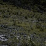 Personagens do jogo Wild Bandito com os rolos do slot em fundo temático mexicano.